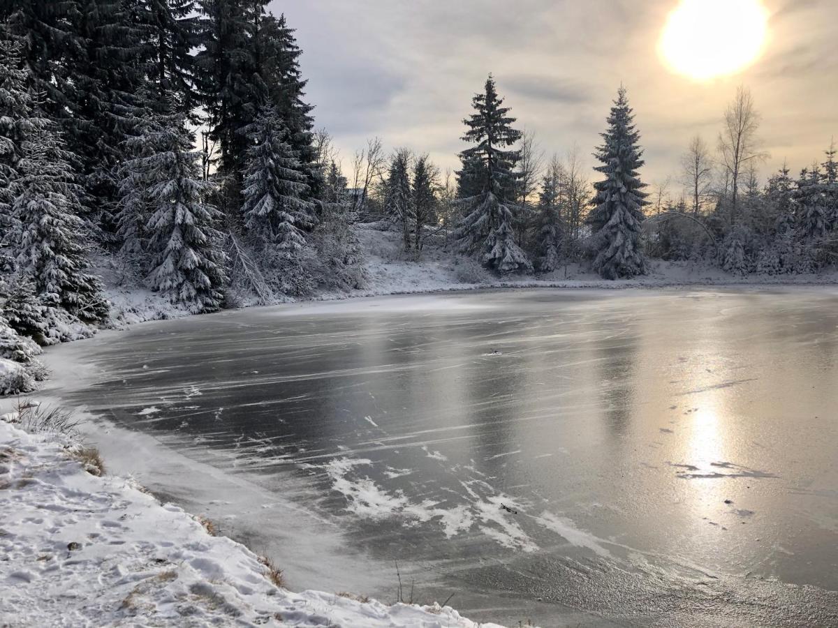 Ela Apartment Horni Blatna